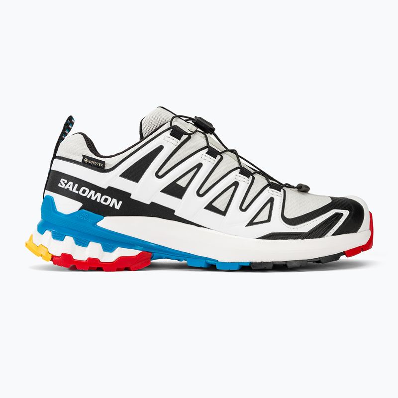 Moteriški bėgimo batai Salomon XA Pro 3D V9 GTX lunar rock/white/black 2