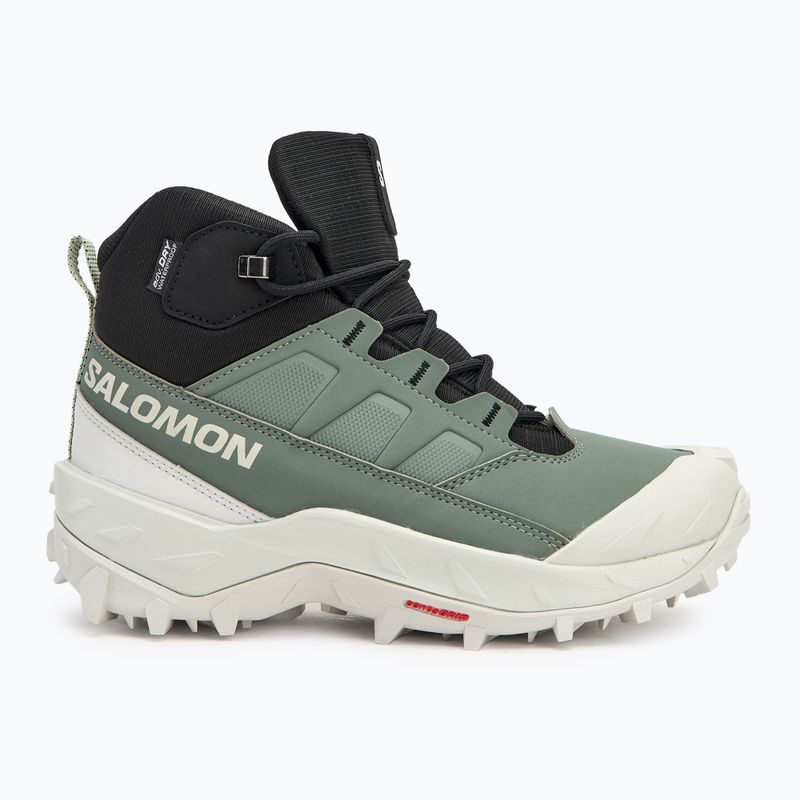 Moteriški žygio batai Salomon Crosstrak WP agave green/black/can ary green 2