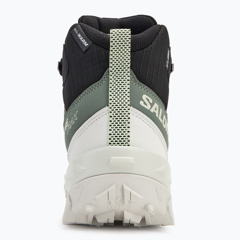Moteriški žygio batai Salomon Crosstrak WP agave green/black/can ary green 6
