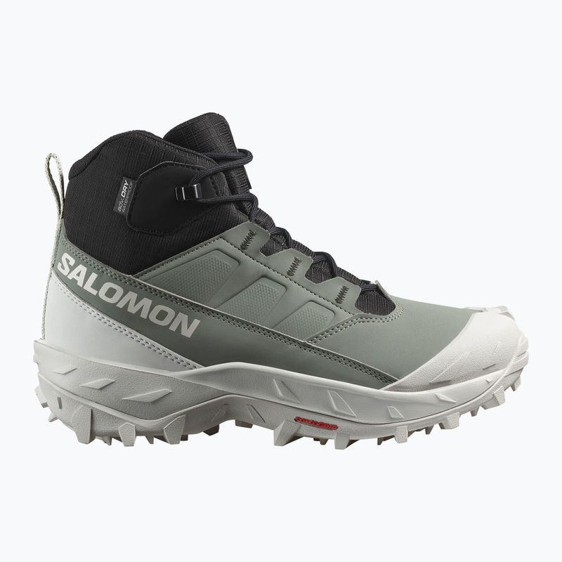 Moteriški žygio batai Salomon Crosstrak WP agave green/black/can ary green 9