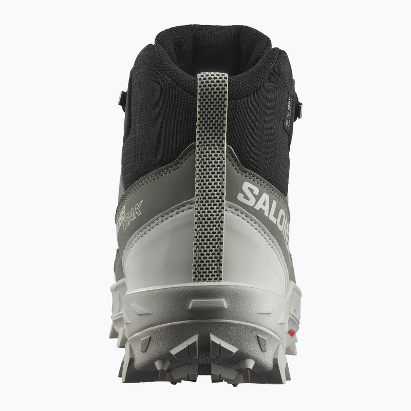 Moteriški žygio batai Salomon Crosstrak WP agave green/black/can ary green 11