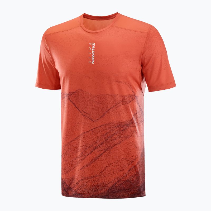 Vyriški bėgimo marškinėliai Salomon S/Lab Ultra Tee Aop burnt sienna 4