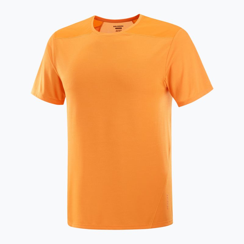 Vyriški marškinėliai Salomon Outline Tee turmeric 4