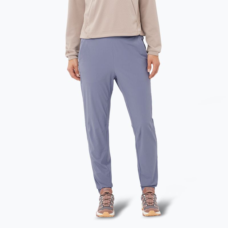 Moteriškos trekingo kelnės Salomon Wayfarer Ease blue granite
