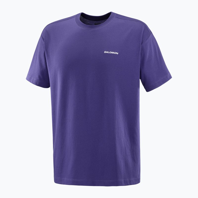 Vyriški marškinėliai Salomon Logo RX Tee astral 4