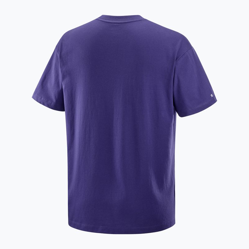 Vyriški marškinėliai Salomon Logo RX Tee astral 5