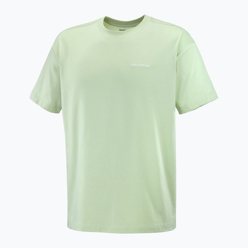 Vyriški marškinėliai Salomon Logo RX Tee sea foam 4