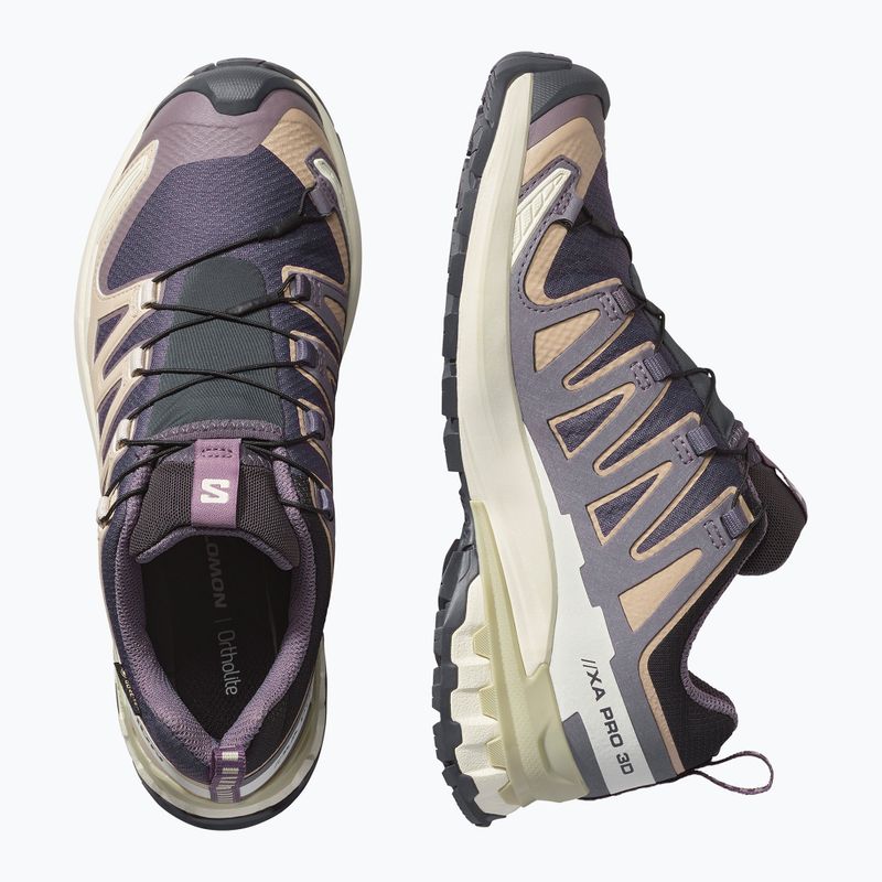 Moteriški bėgimo batai Salomon XA Pro 3D V9 GTX nine iron/oxford tan 3