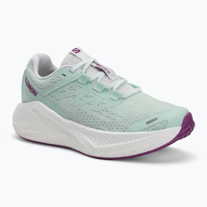 Moteriški bėgimo batai Salomon Aero Glide 3 bay/white/wilowherb