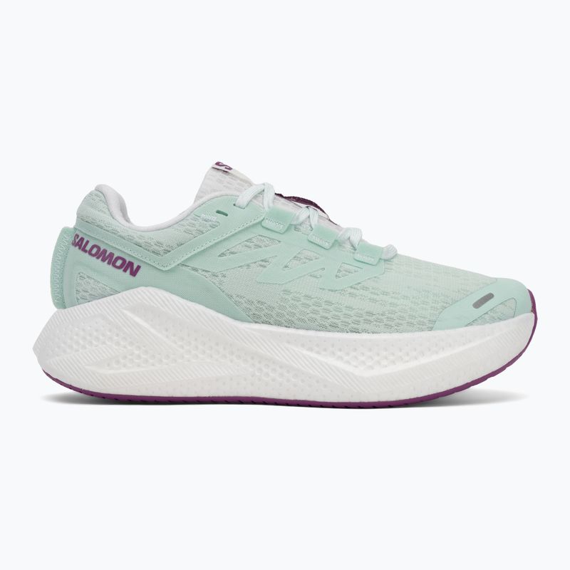 Moteriški bėgimo batai Salomon Aero Glide 3 bay/white/wilowherb 2