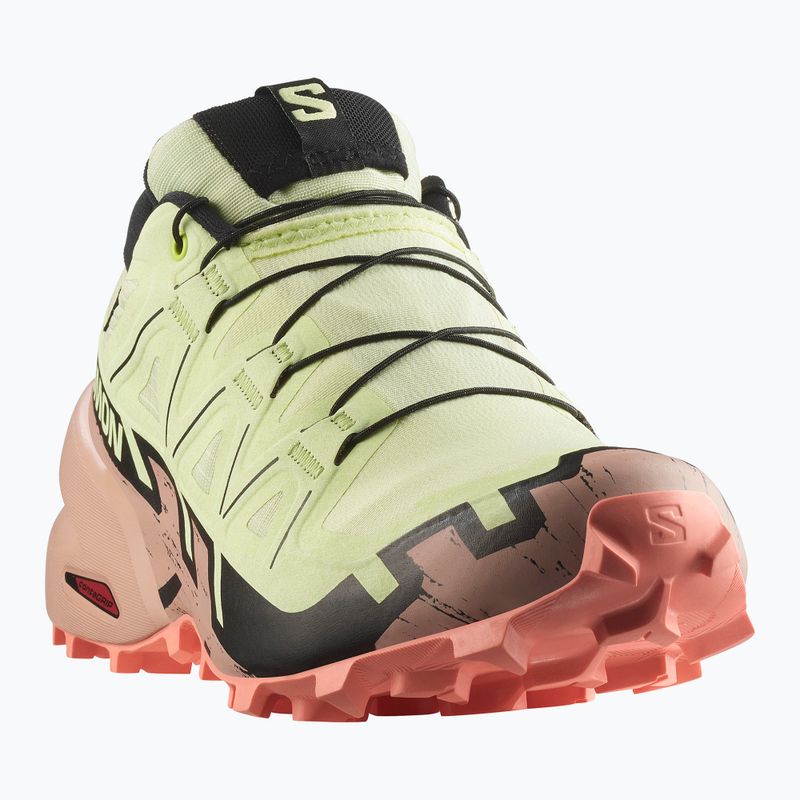 Moteriški bėgimo bateliai Salomon Speedcross 6 GTX lime cream/mahogany rose/black