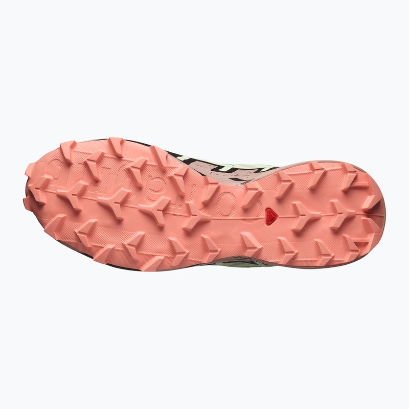 Moteriški bėgimo bateliai Salomon Speedcross 6 GTX lime cream/mahogany rose/black 5