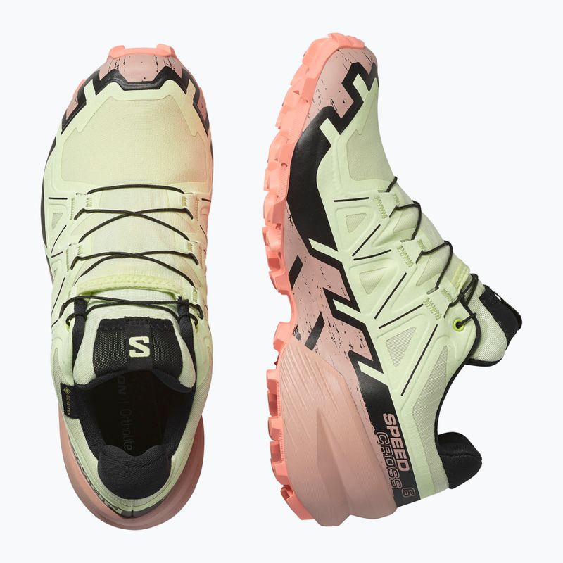Moteriški bėgimo bateliai Salomon Speedcross 6 GTX lime cream/mahogany rose/black 6