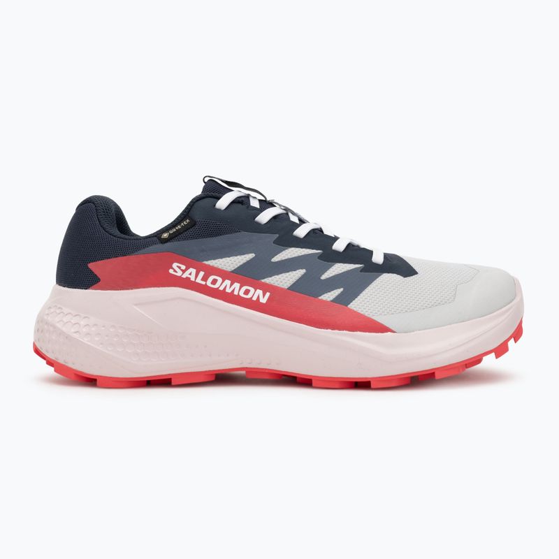 Moteriški bėgimo bateliai Salomon Alphaglide GTX lunar rock/blue night/rouge red 2