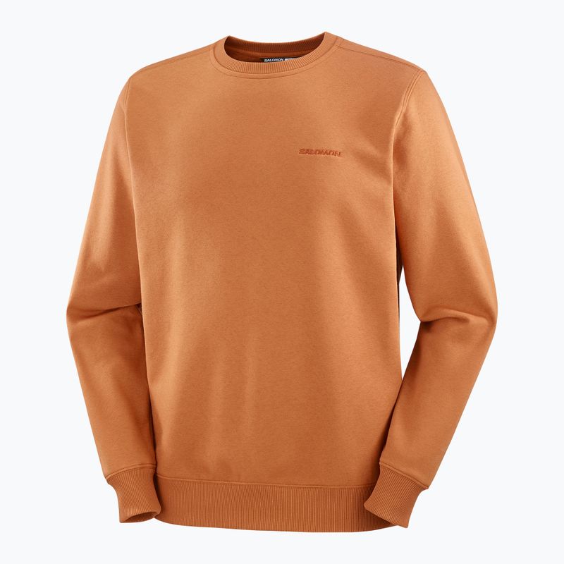 Vyriškas džemperis Salomon Logo Crewneck sierra 5