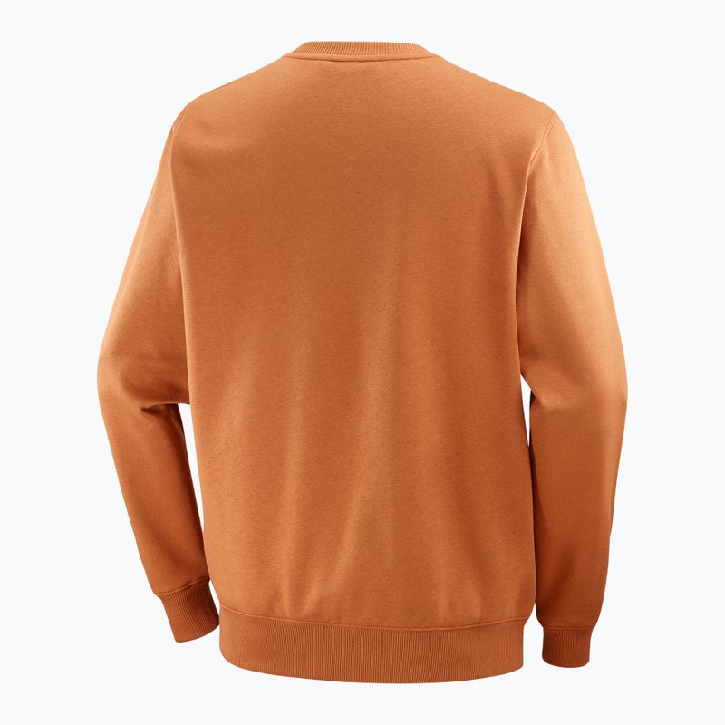 Vyriškas džemperis Salomon Logo Crewneck sierra 6