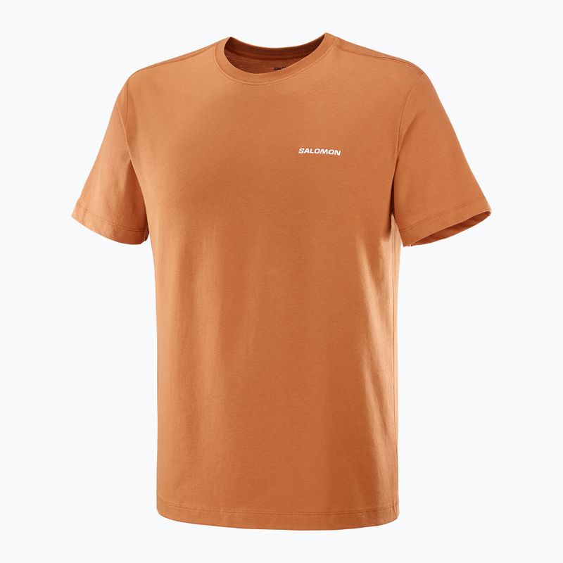 Vyriški marškinėliai Salomon Logo Tee sierra 4