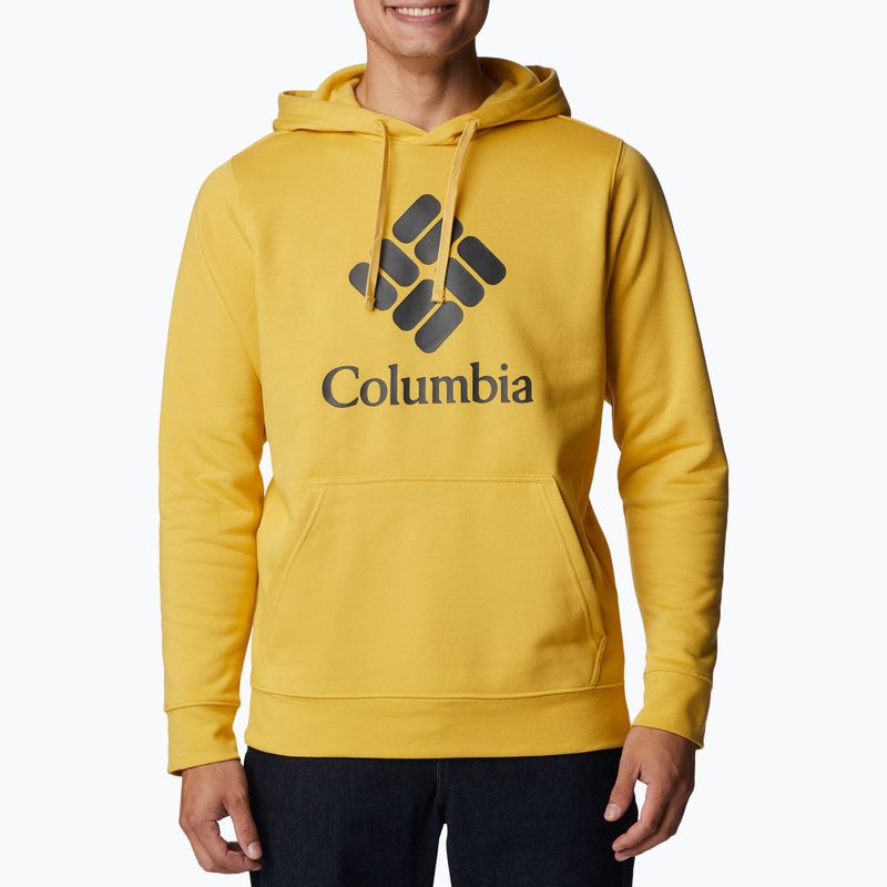 Columbia Trek Hoodie vyriški sportiniai marškinėliai su gobtuvu 1957913
