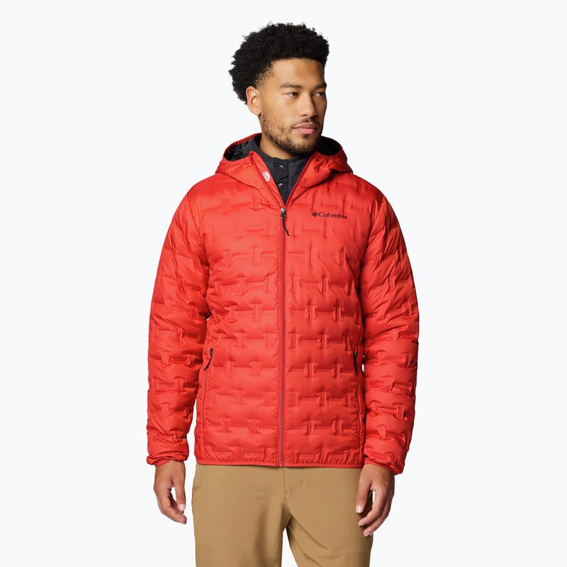 Vyriška Columbia Delta Ridge II Down Hooded striukė su gobtuvu sail red