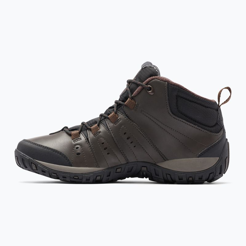 Vyriški Columbia Woodburn Ii Chukka WP OH cordovan/garnet red batai 10