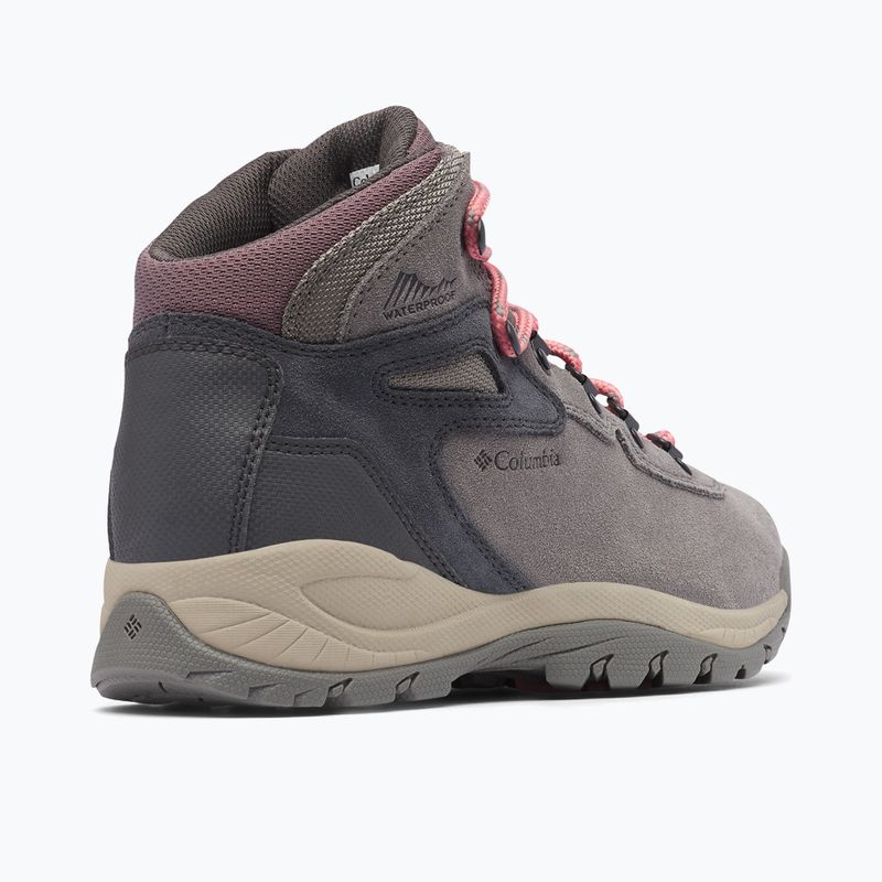 Moteriški žygio batai Columbia Newton Ridge Plus Wp Amped stratus/canyon rose 12