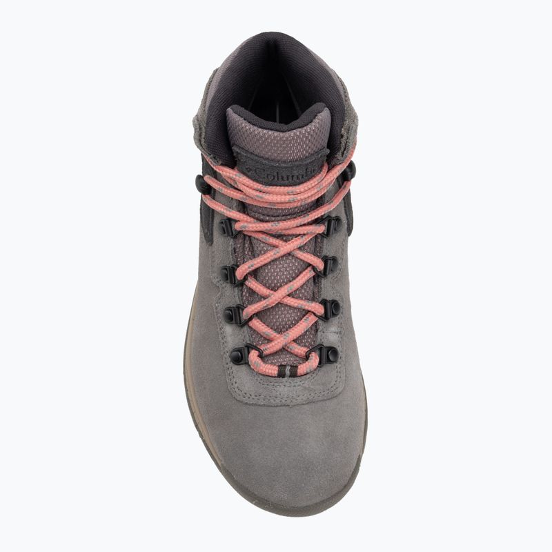 Moteriški žygio batai Columbia Newton Ridge Plus Wp Amped stratus/canyon rose 5