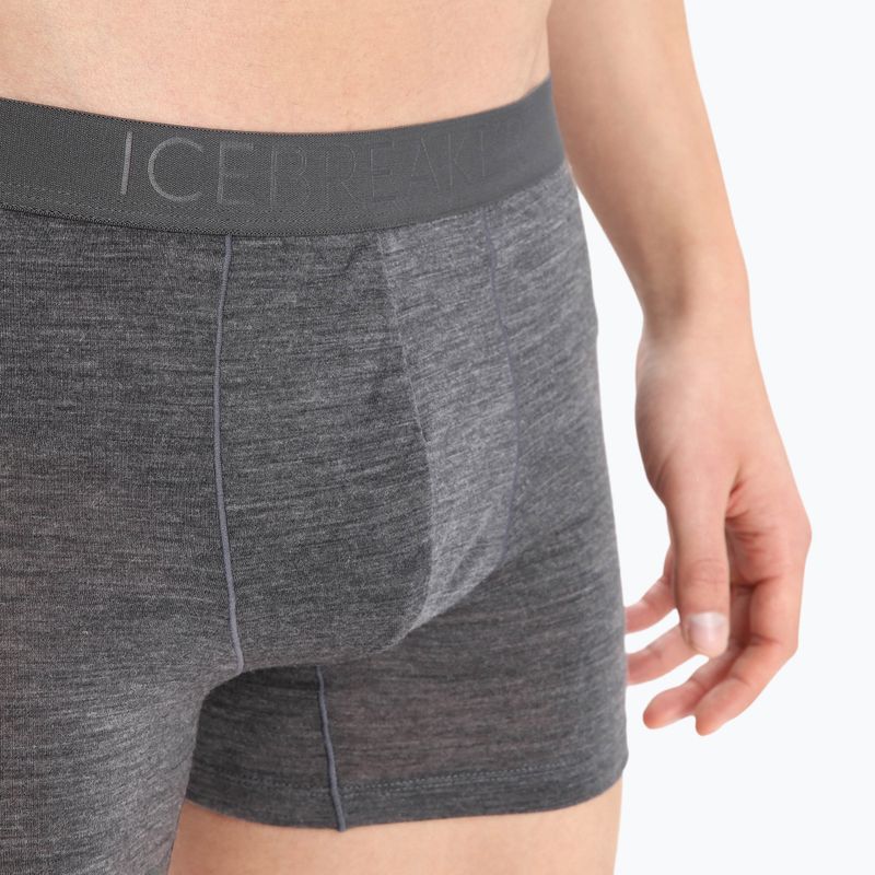 Vyriški termo boksininko šortai Icebreaker Anatomica Cool-Lite monsoon heather 5