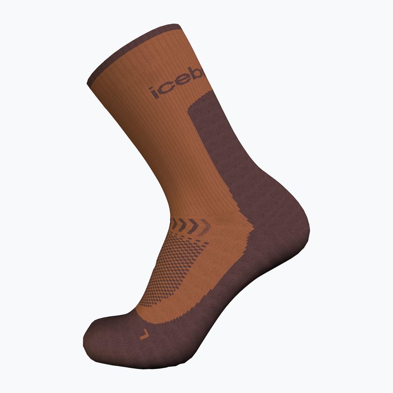 Vyriškos žygio kojinės icebreaker Merino Hike+ Light Crew dusty clay/carob 2