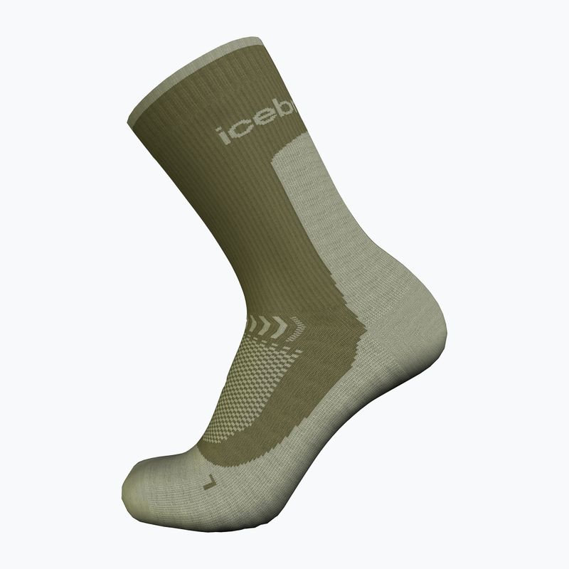 Vyriškos žygio kojinės icebreaker Merino Hike+ Light Crew loden/lichen 3