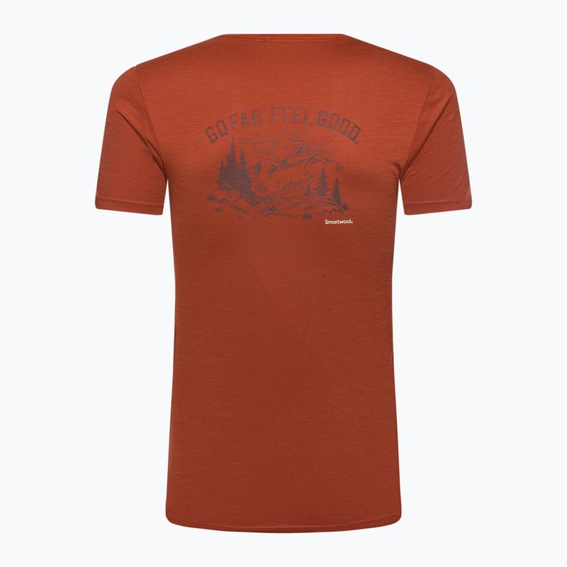 Vyriški marškinėliai Smartwool Wilderness Summit Graphic Tee brown SW016673J33 5