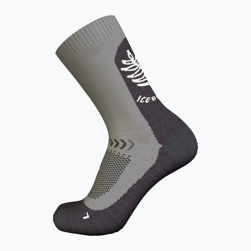Moteriškos žygio kojinės icebreaker Merino Hike+ Light Crew Fresh Fern alloy/obsidian/snow 3