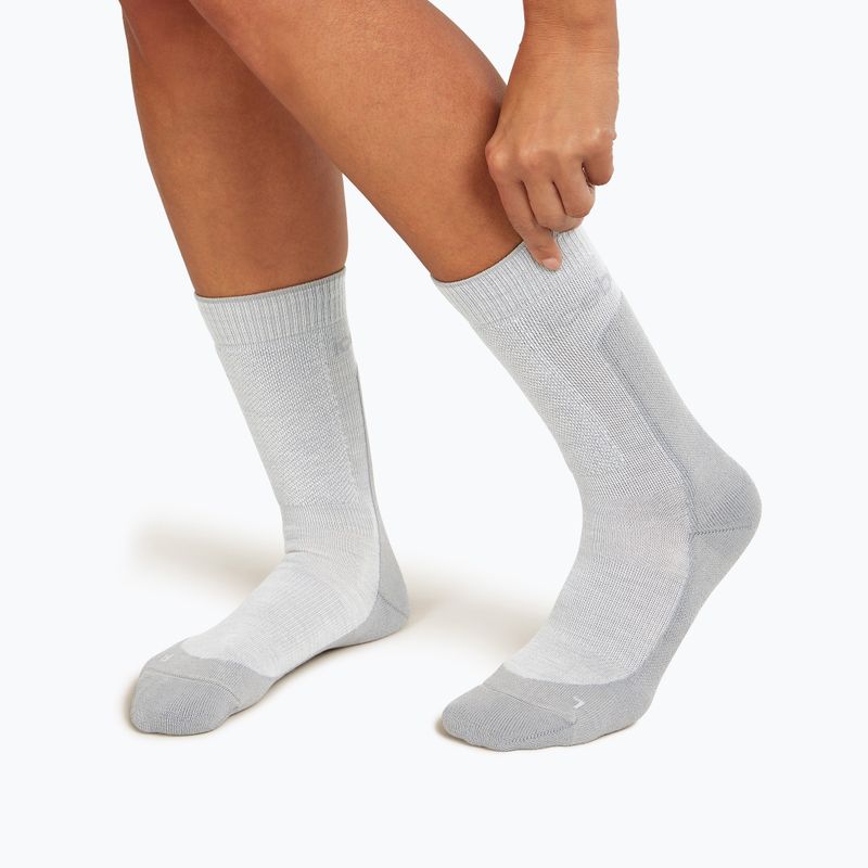 Moteriškos žygio kojinės icebreaker Merino Hike+ Medium Crew ether/alloy 3
