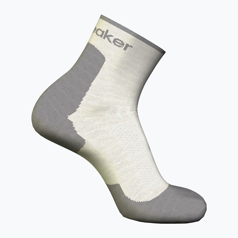 Moteriškos žygio kojinės icebreaker Merino Hike+ Light Mini ecru hthr/alloy 2