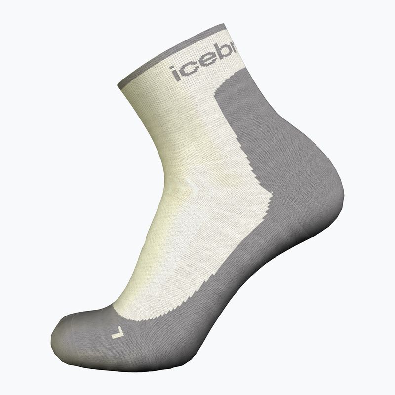 Moteriškos žygio kojinės icebreaker Merino Hike+ Light Mini ecru hthr/alloy 3
