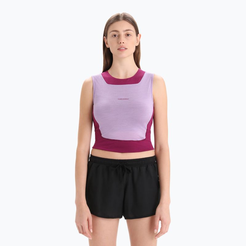 Moteriška termoaktyvi marškinėlė icebreaker Zoneknit Cropped Bra-Tank purple gaze