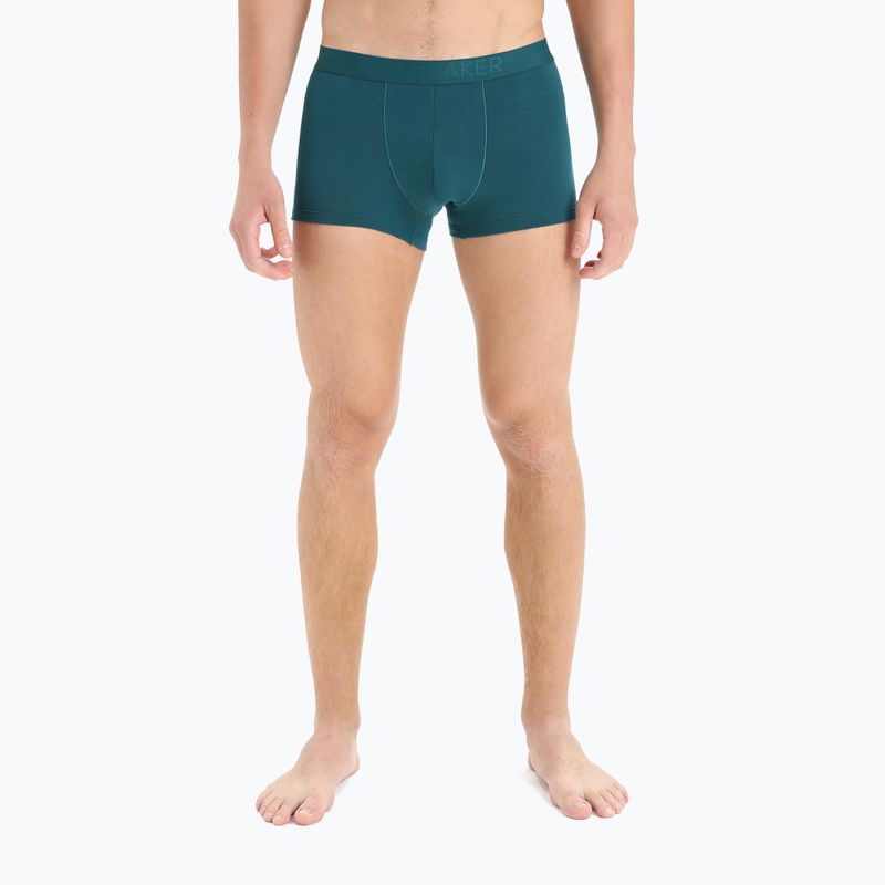 Vyriški terminiai boksininko šortai Icebreaker Anatomica Cool-Lite greenglory 4