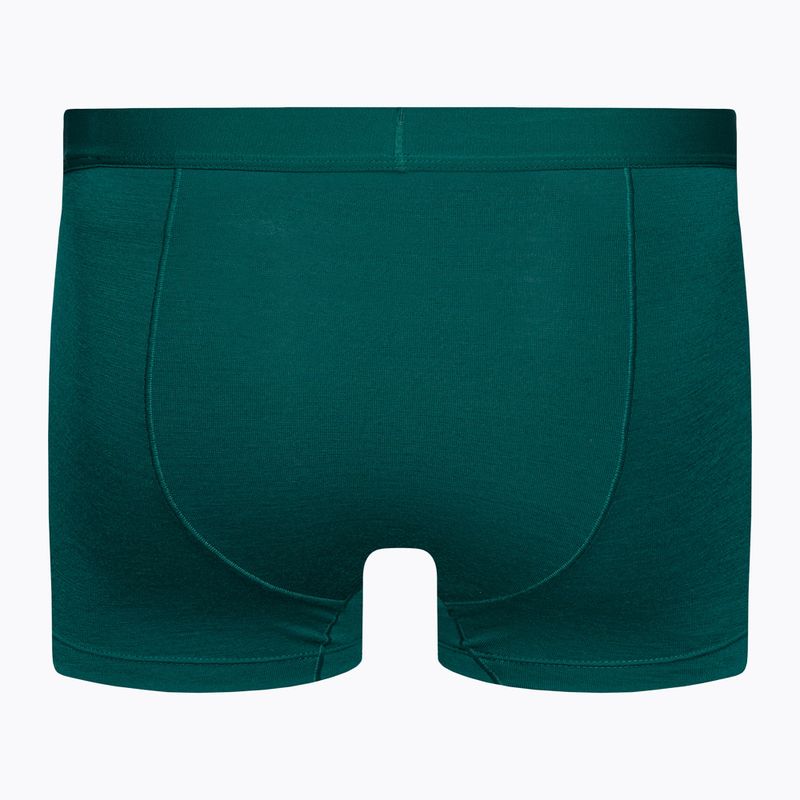 Vyriški terminiai boksininko šortai Icebreaker Anatomica Cool-Lite greenglory 2