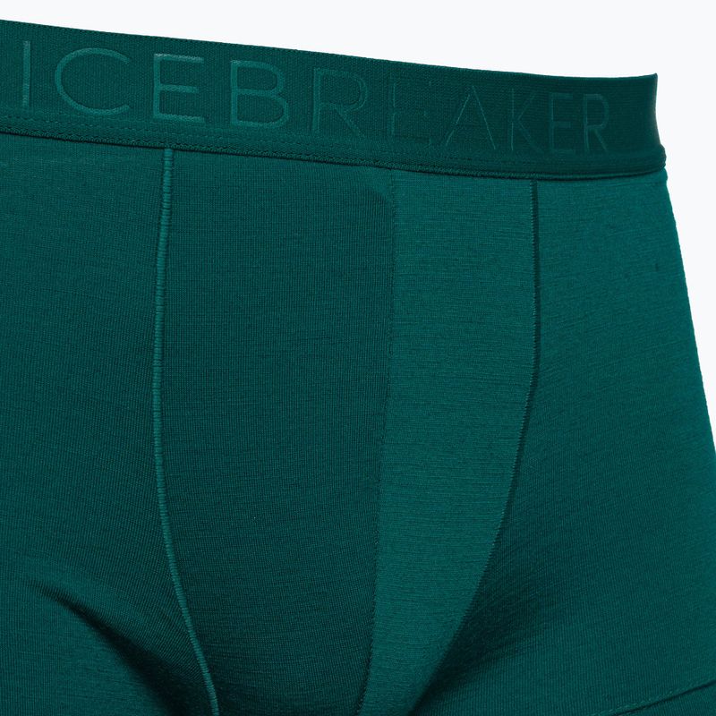 Vyriški terminiai boksininko šortai Icebreaker Anatomica Cool-Lite greenglory 3
