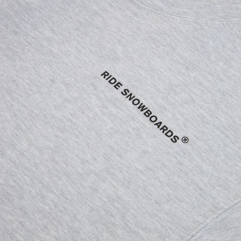 Vyriškas džemperis RIDE Old English Hoody heather grey 3