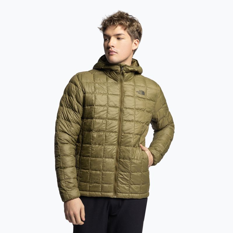 Vyriškos pūkinės striukės The North Face Thermoball Eco Hoodie 2.0 green NF0A5GLK37U1