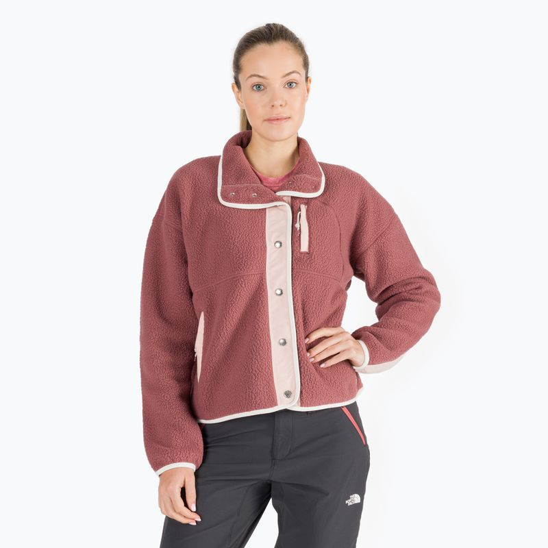 Moteriški vilnoniai megztiniai The North Face Cragmont Fleece Fleece pink NF0A5A9L93Z1