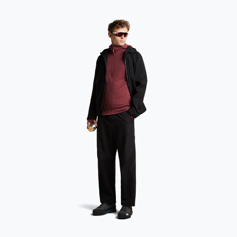 Vyriškas džemperis Icebreaker Merino 260 Quantum IV LS Zip Hoodie port/agate 2