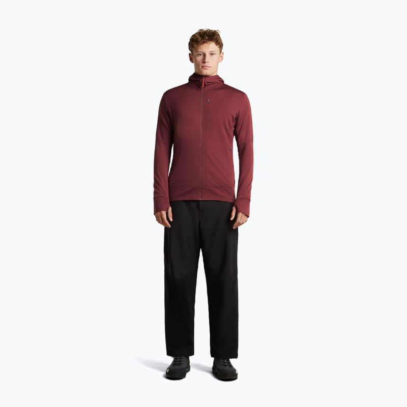 Vyriškas džemperis Icebreaker Merino 260 Quantum IV LS Zip Hoodie port/agate 4