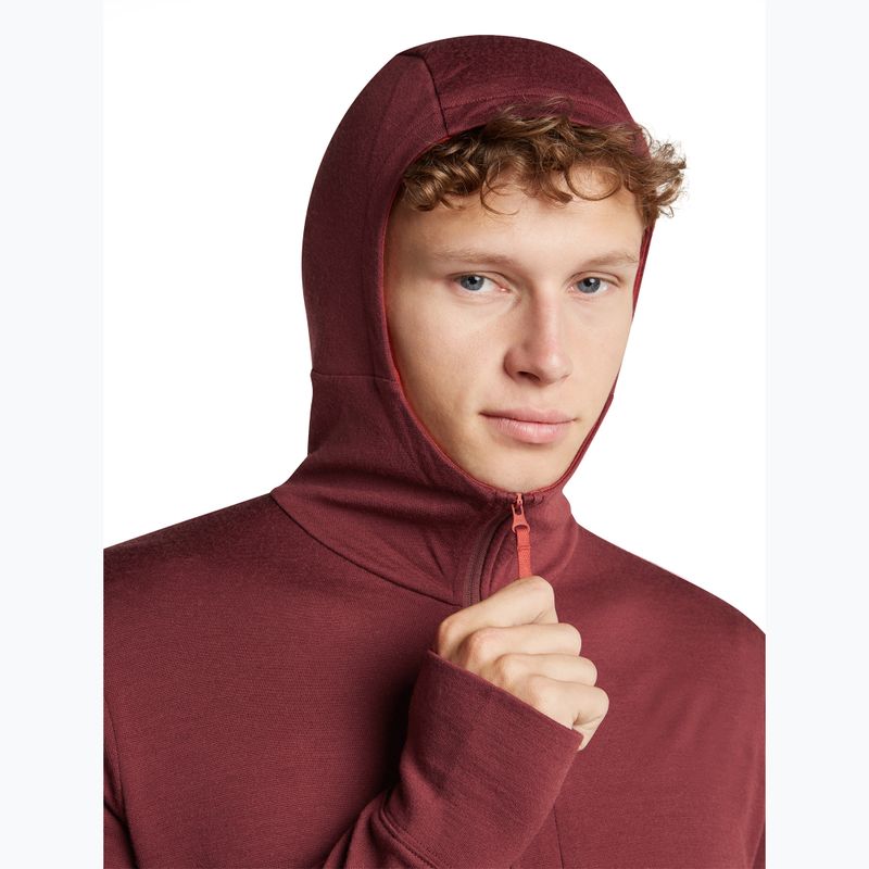 Vyriškas džemperis Icebreaker Merino 260 Quantum IV LS Zip Hoodie port/agate 6