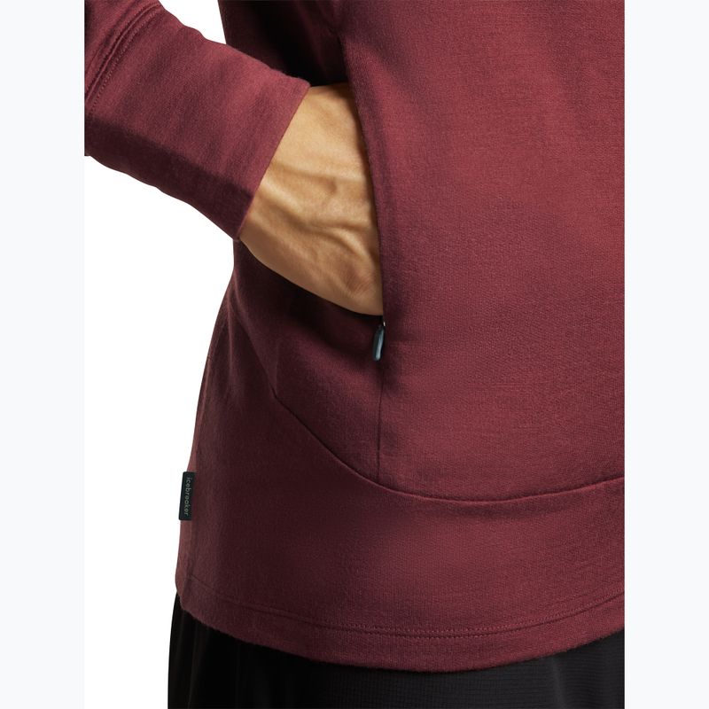 Vyriškas džemperis Icebreaker Merino 260 Quantum IV LS Zip Hoodie port/agate 9