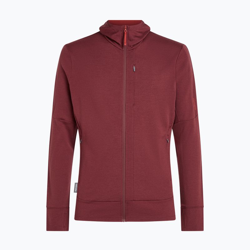 Vyriškas džemperis Icebreaker Merino 260 Quantum IV LS Zip Hoodie port/agate 10