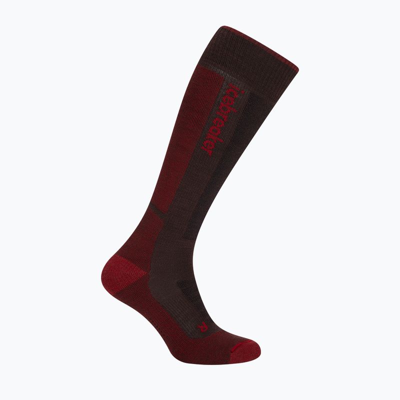 Vyriškos slidinėjimo kojinės icebreaker Merino Ski+ Medium OTC bittersweet/port/black 2
