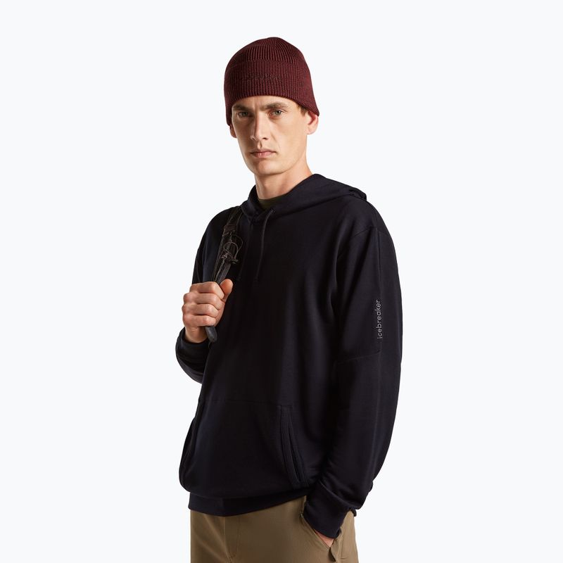 Žieminė kepurė icebreaker Merino All Day Toque Beanie port/bittersweet 2