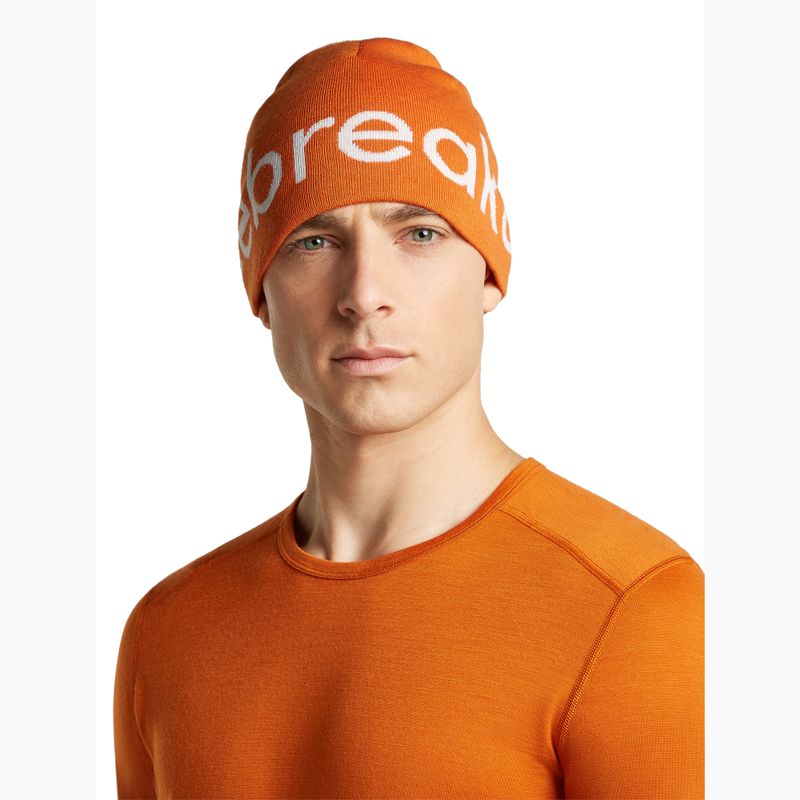 Žieminė kepurė icebreaker Merino Icebreaker Beanie spice/ecru heather 3