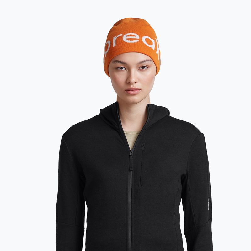 Žieminė kepurė icebreaker Merino Icebreaker Beanie spice/ecru heather 6